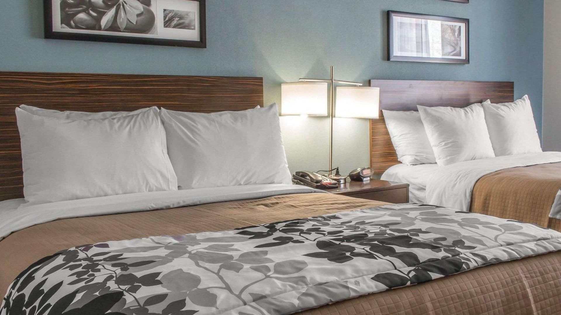 Sleep Brooklyn Coney Island Hotel