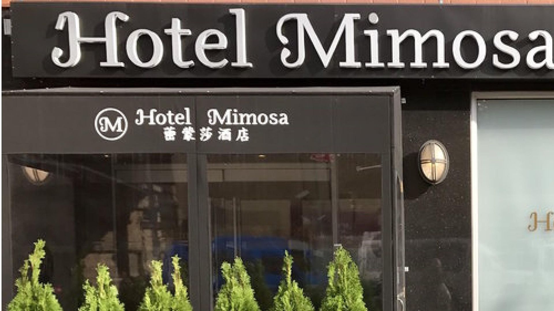 Mimosa Hotel