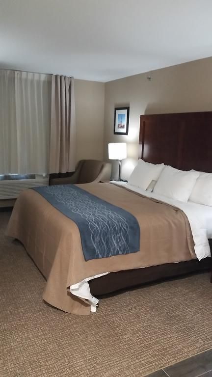 Comfort Jamaica Downtown Hotel