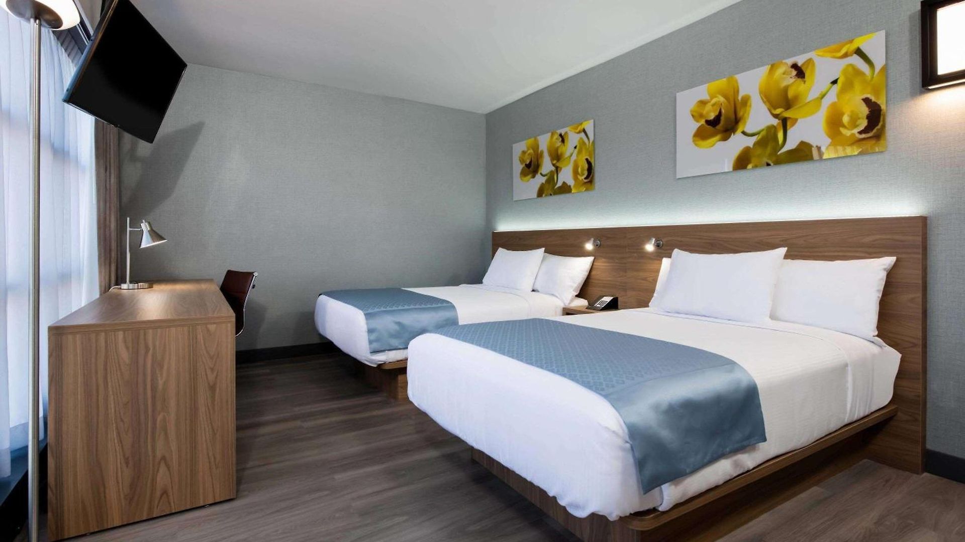 Wingate By Wyndham Long Island
