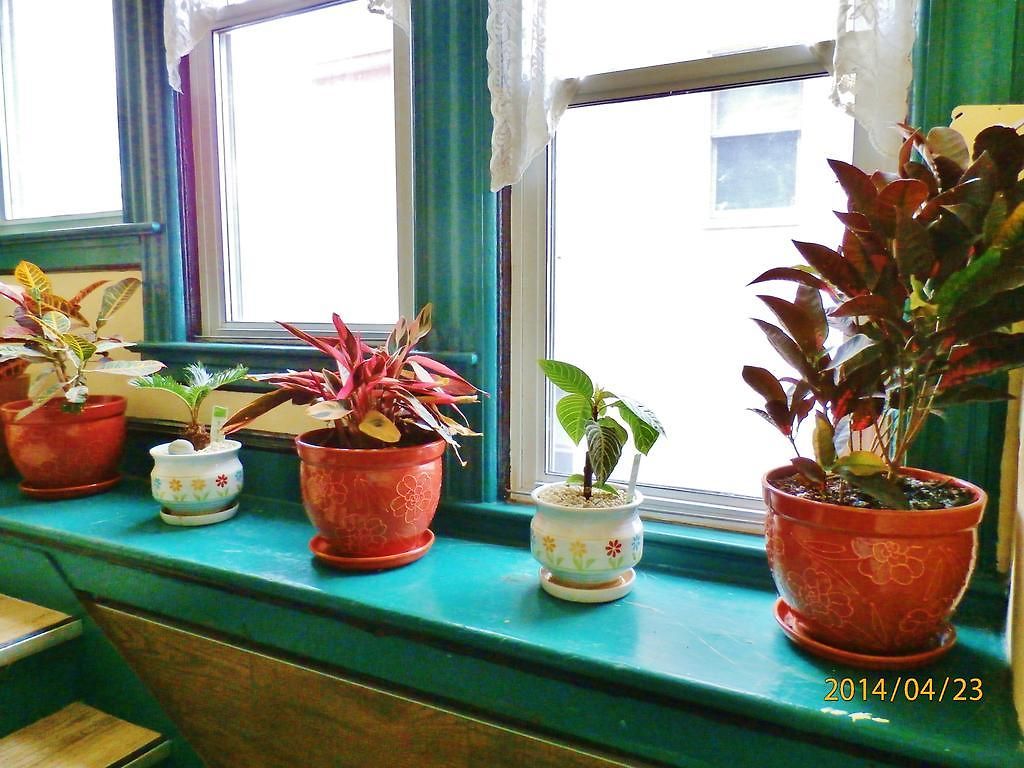 Bed & Breakfast Harbor House New York