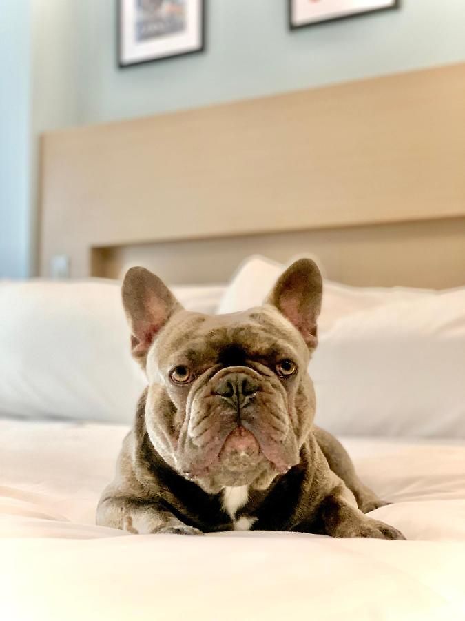 Hotel Wingate By Wyndham Bronx Haven Park 4*
