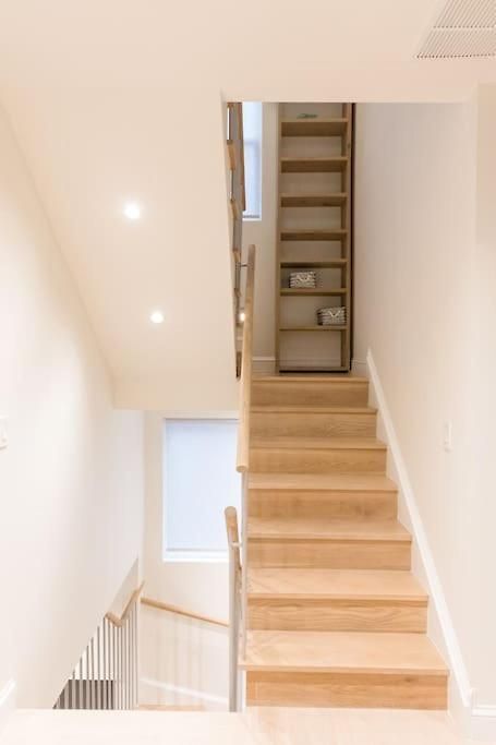 Privet House - Midwood/flatbush Recently Remodeled