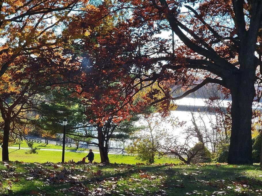 Apartment Private Near Ferry And Park *
