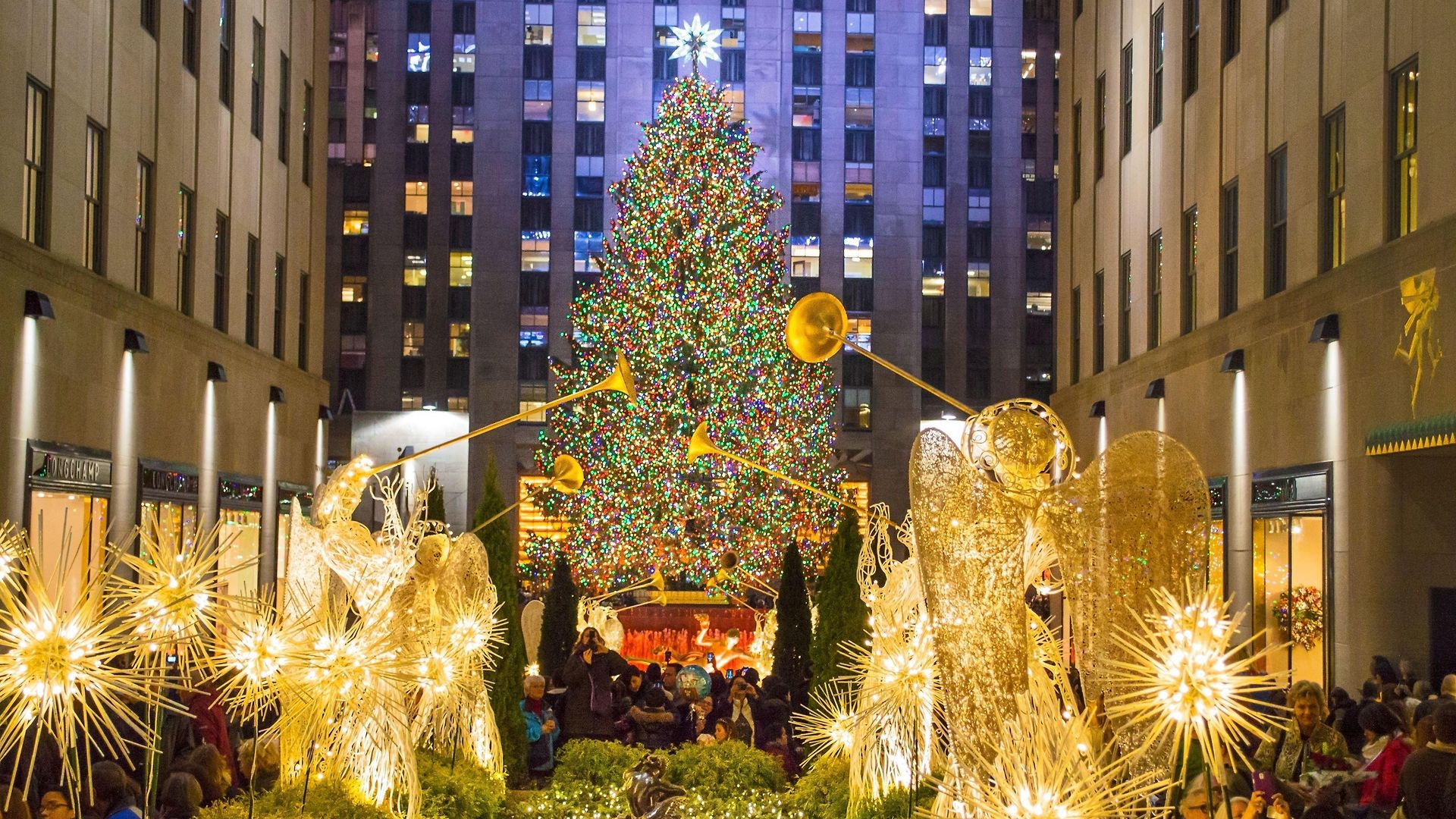The Muse Hotel New York