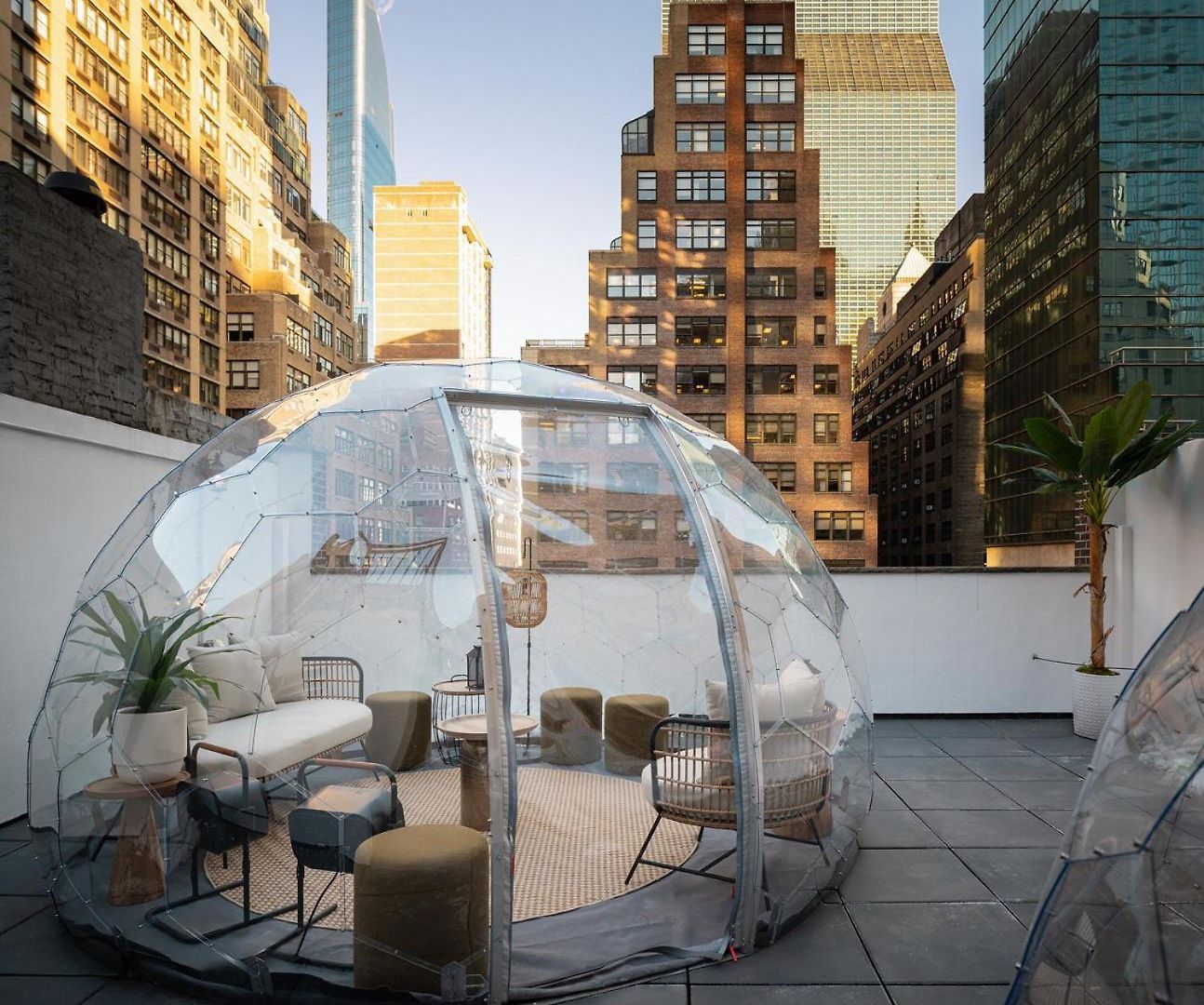 Little Charlie 4* New York