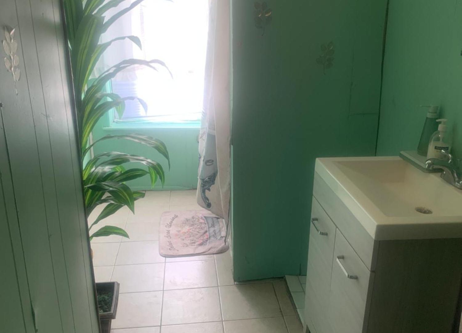 Apartment Cassandra's Private Getaway Heart Of Brooklyn New York