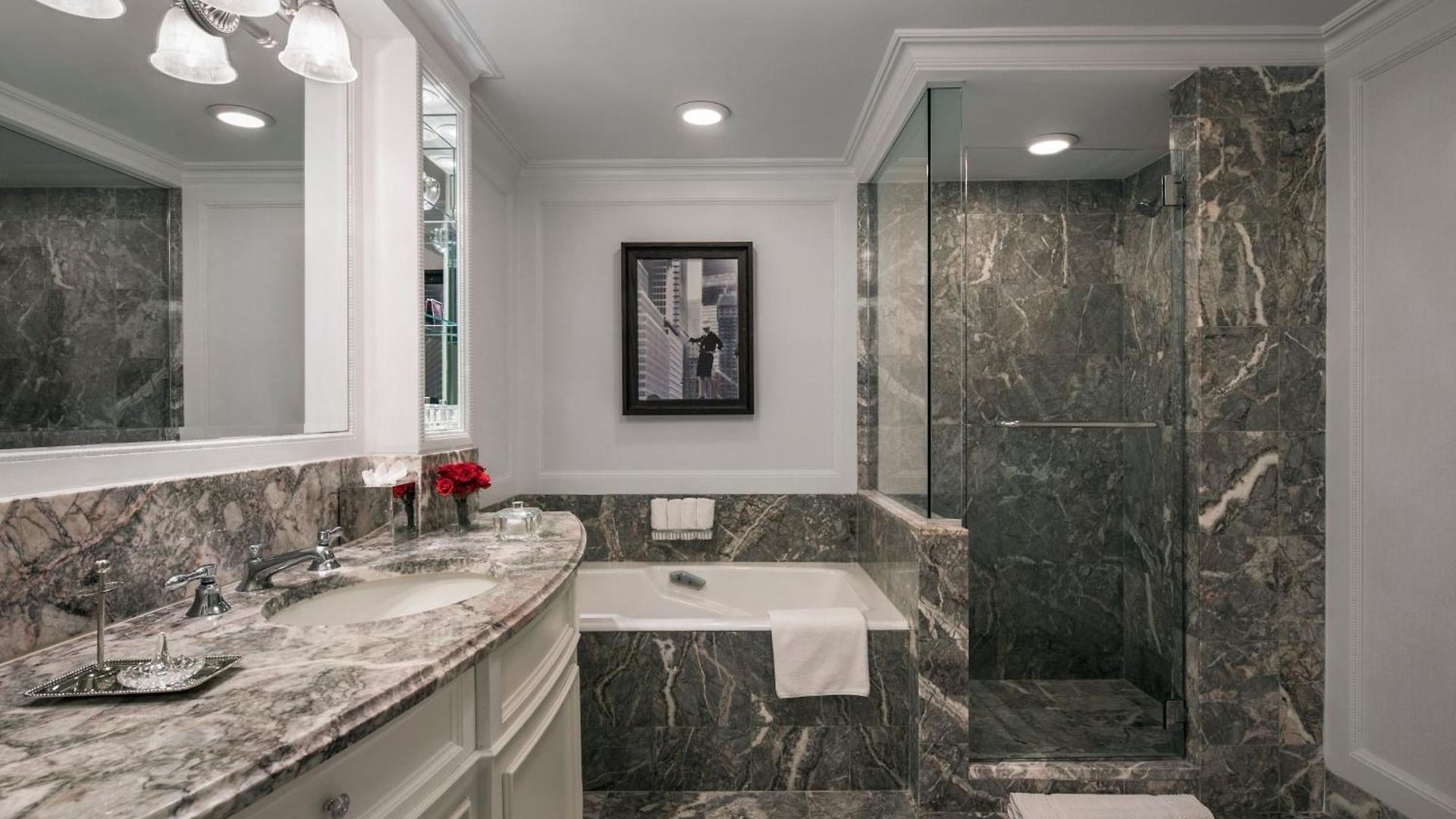 The Ritz-carlton New York, Park Hotel 5*