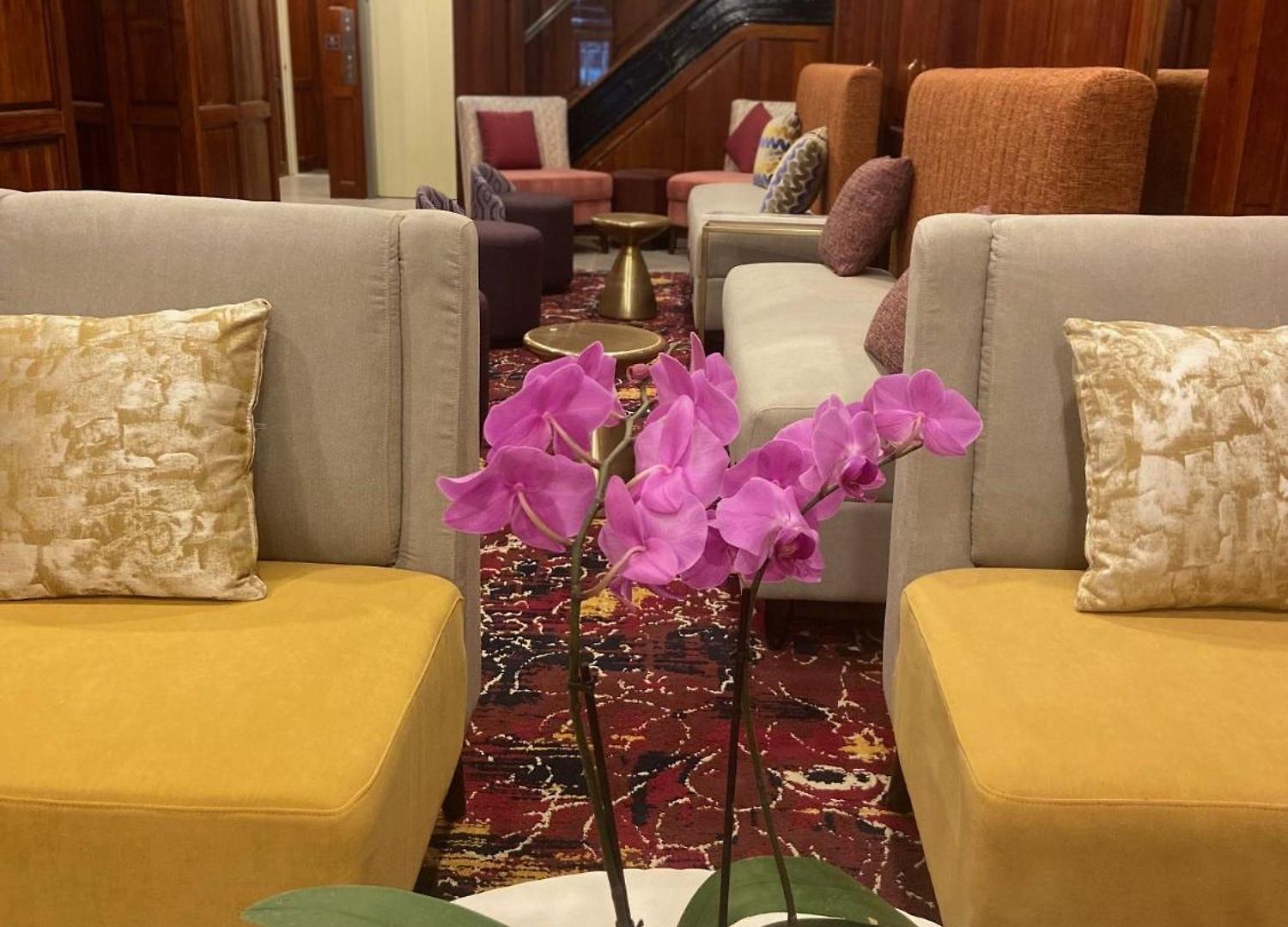 Hotel The Mayfair Times Square, An Ascend Collection 4*