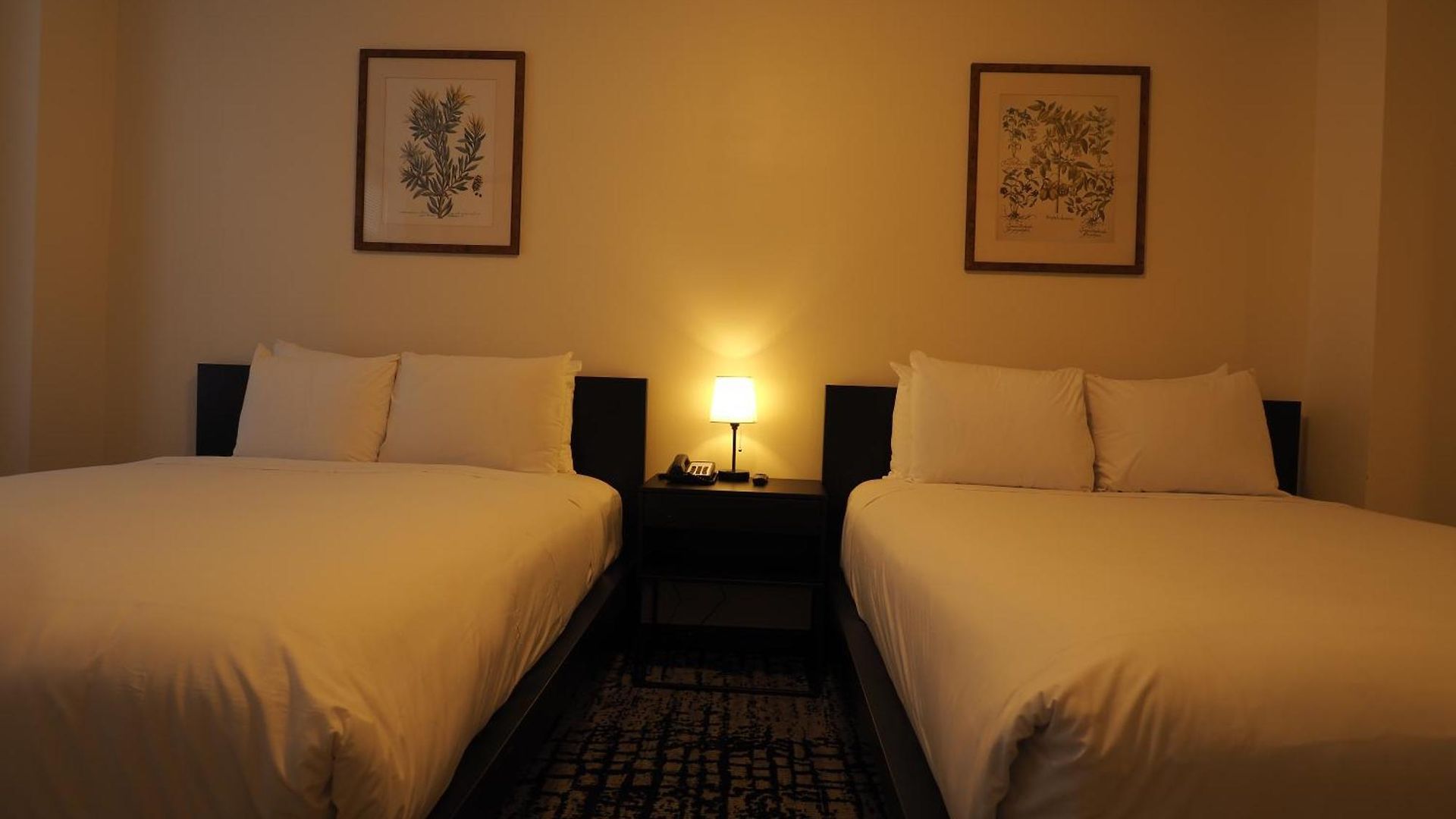 Hotel Night Broadway New York