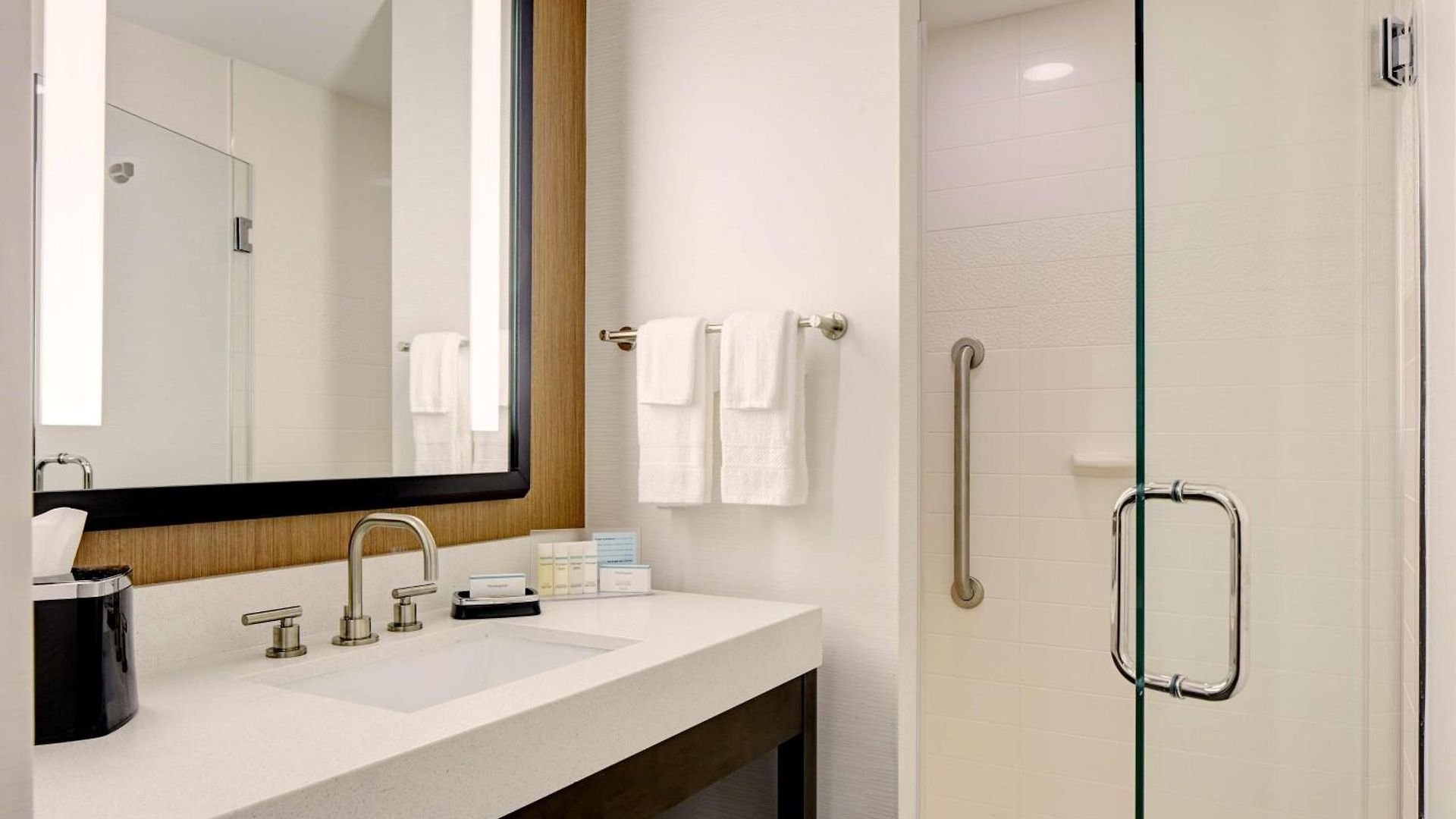 Hampton Brooklyn Downtown Hotel New York