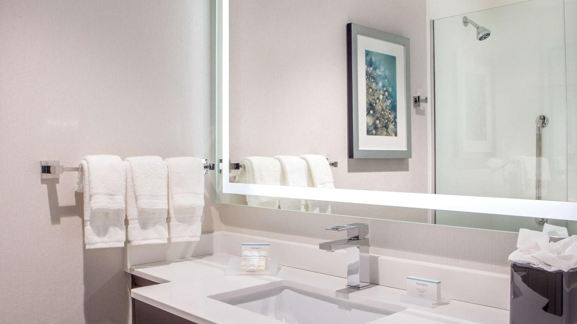 Hilton Garden Nyc Financial Center/manhattan Downtown 3*
