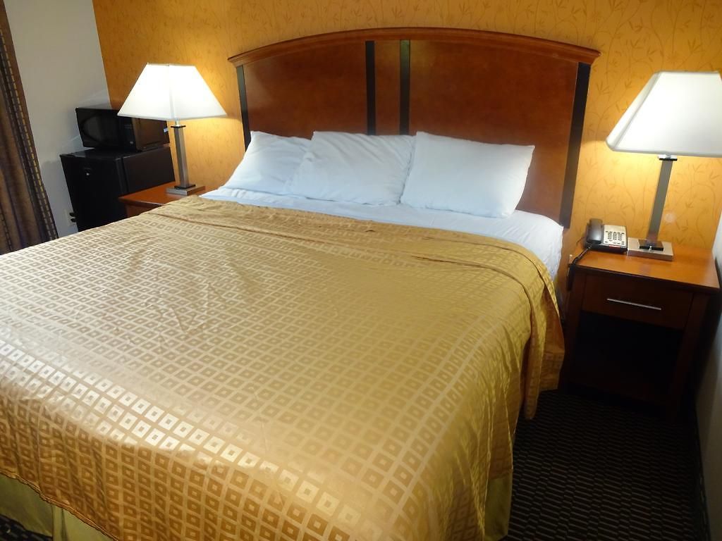 Lexington 2*