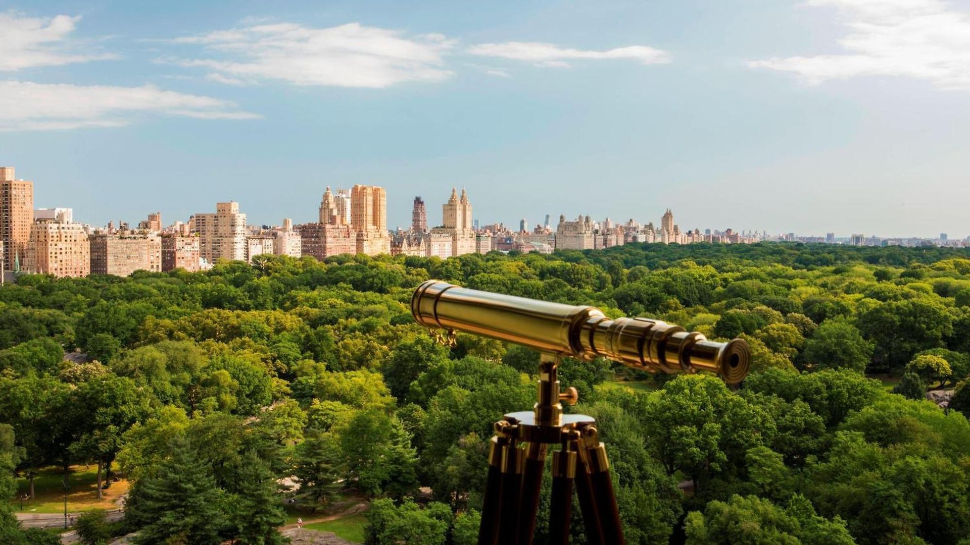 Hotel The Ritz-carlton New York, Park 5*