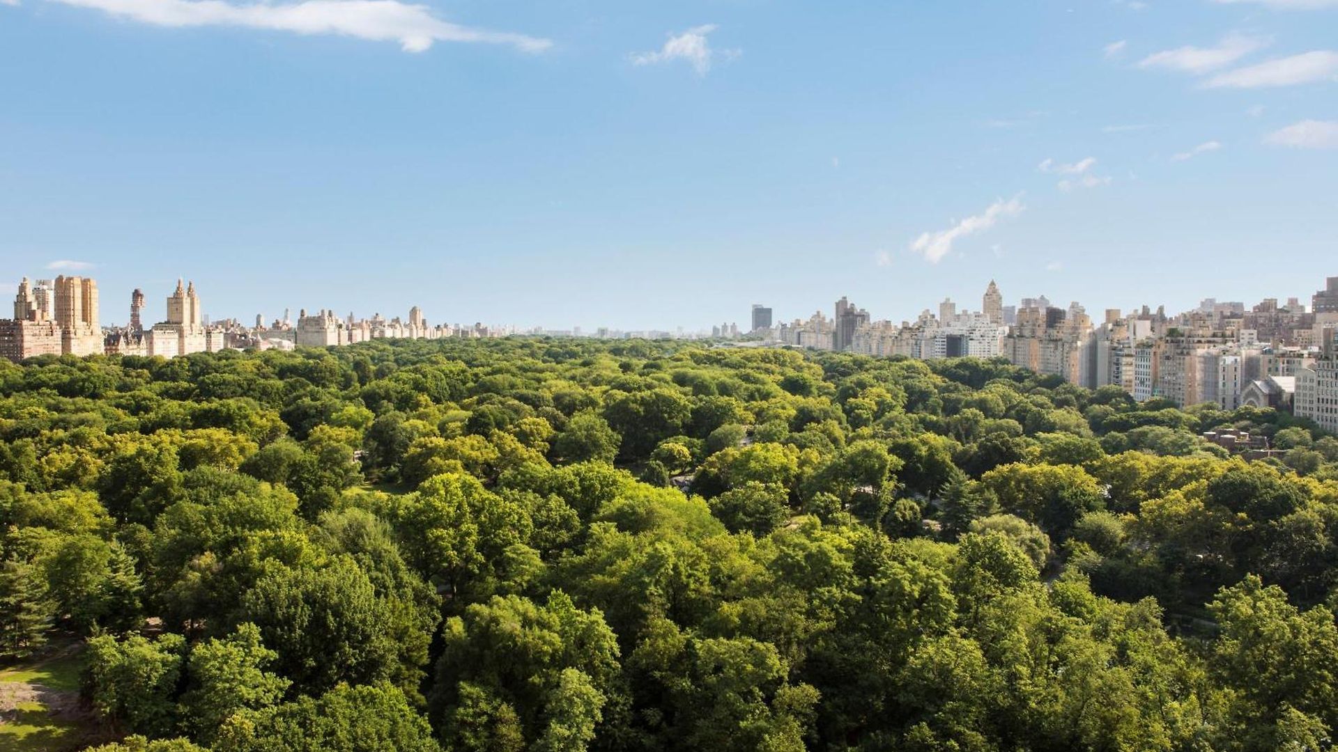 The Ritz-carlton New York, Park Hotel