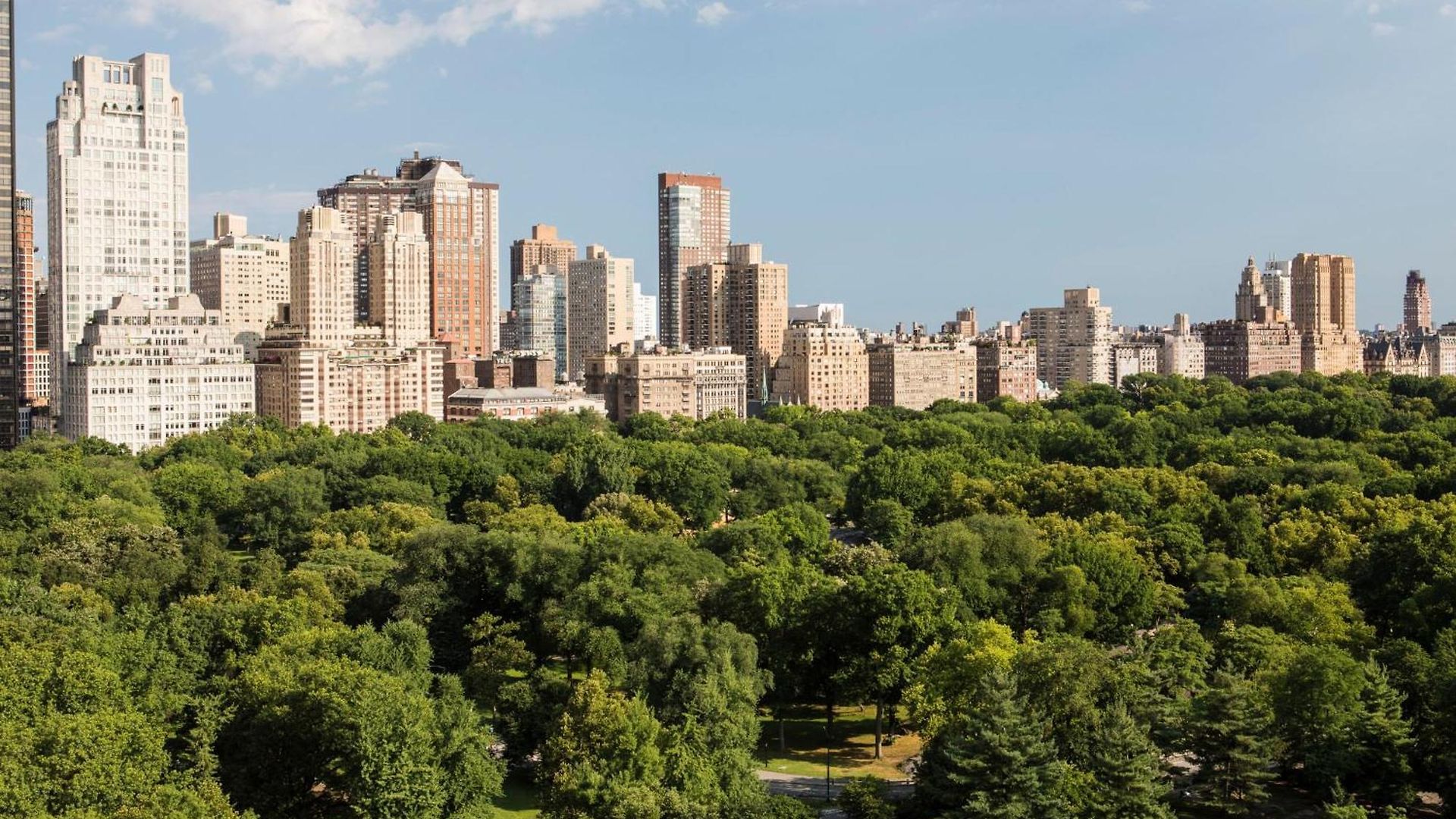 Hotel The Ritz-carlton New York, Park New York