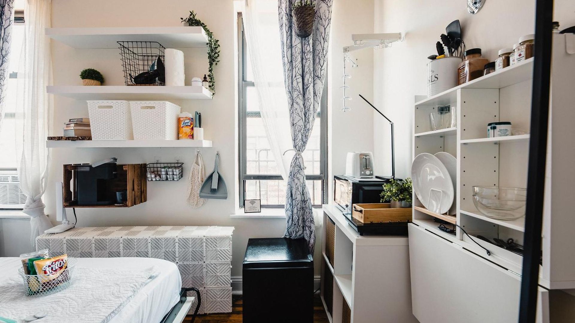 Cat By Delicate Living Conversion Shared Space Only Cat Friendly Only 25 Min To Time Square Apartment