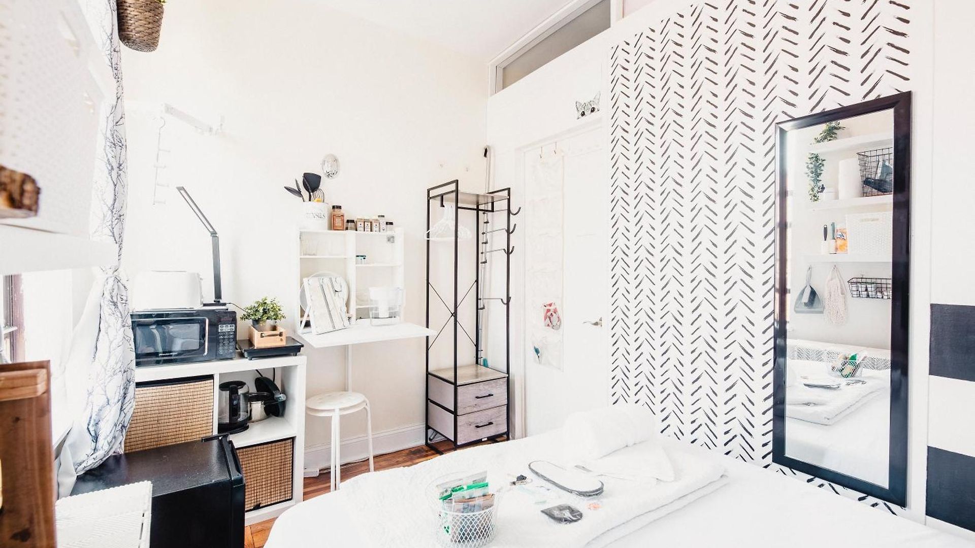 Apartment Cat By Delicate Living Conversion Shared Space Only Cat Friendly Only 25 Min To Time Square