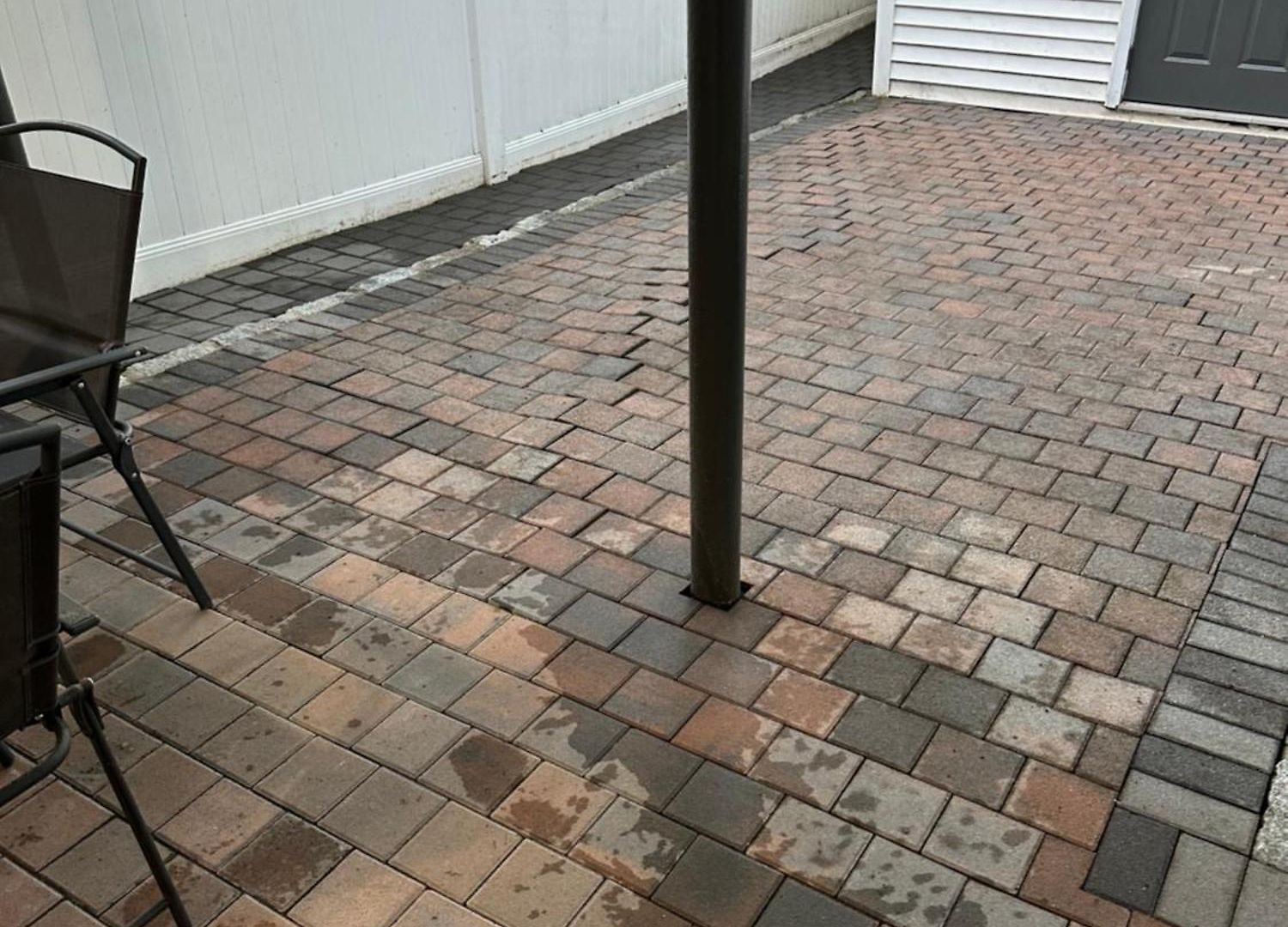 Apartment Morris Park Area New York