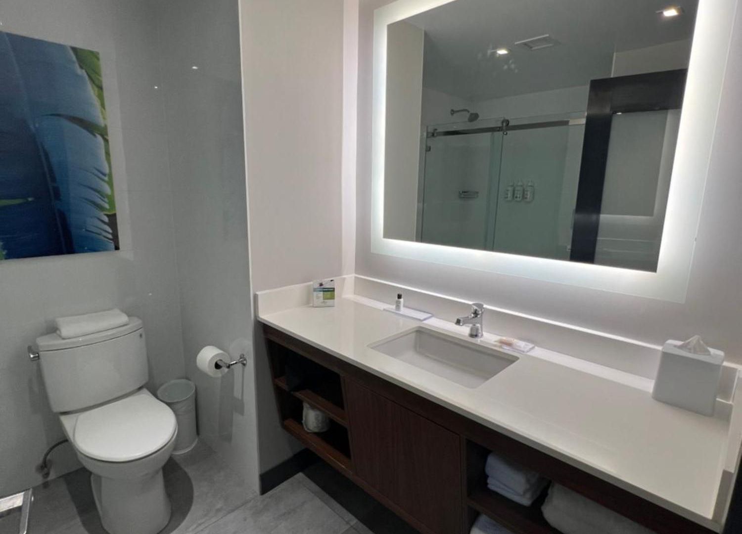 Wingate By Wyndham Long Island Hotel New York