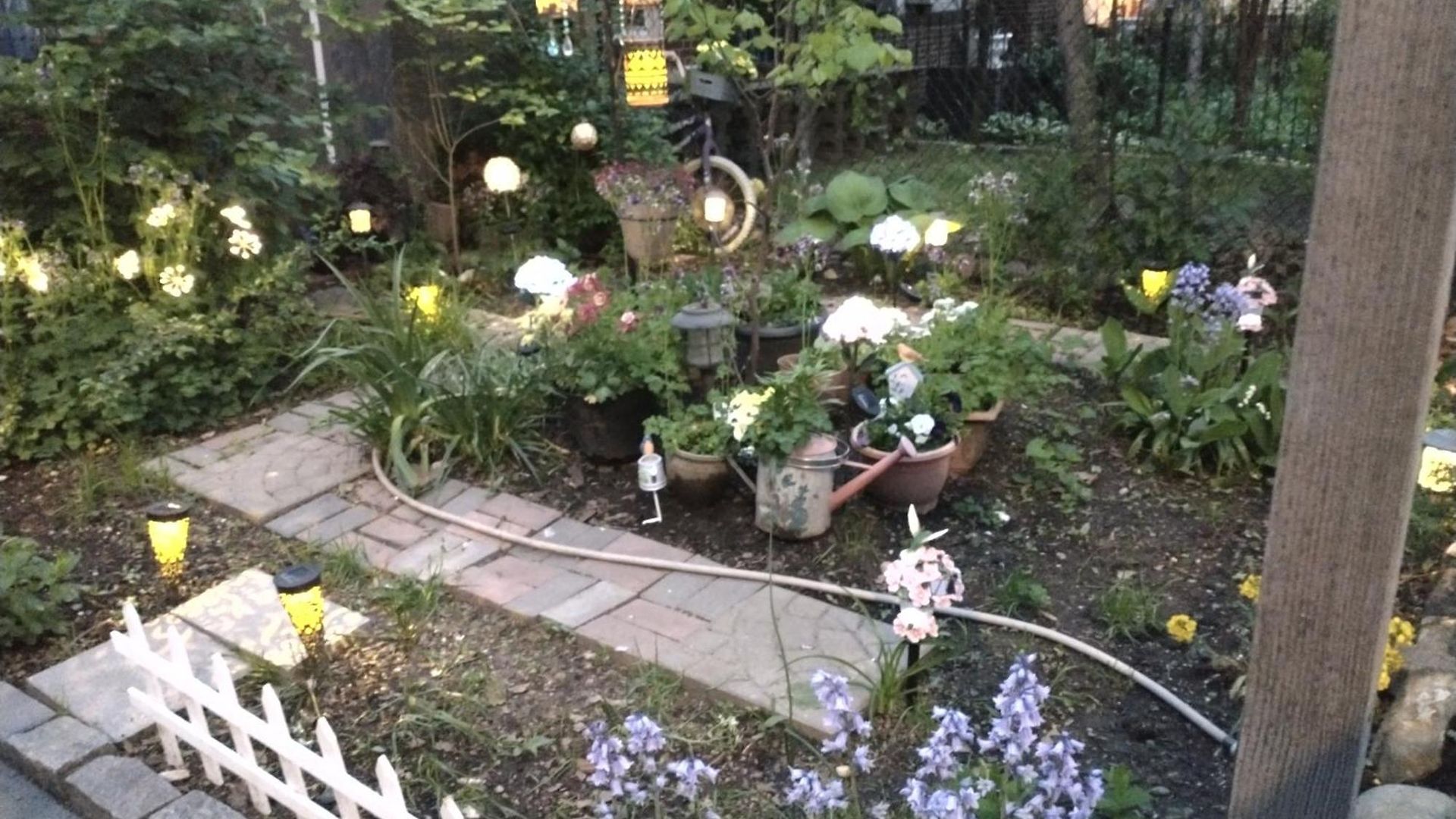 Explore From Queens * New York