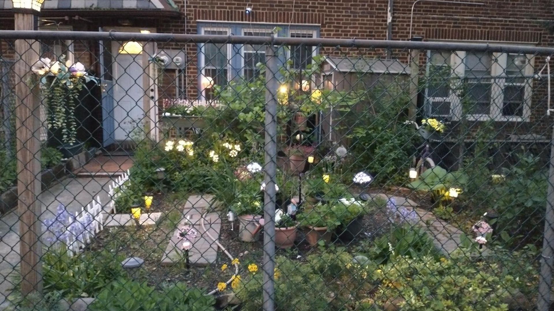Explore From Queens Apartment *
