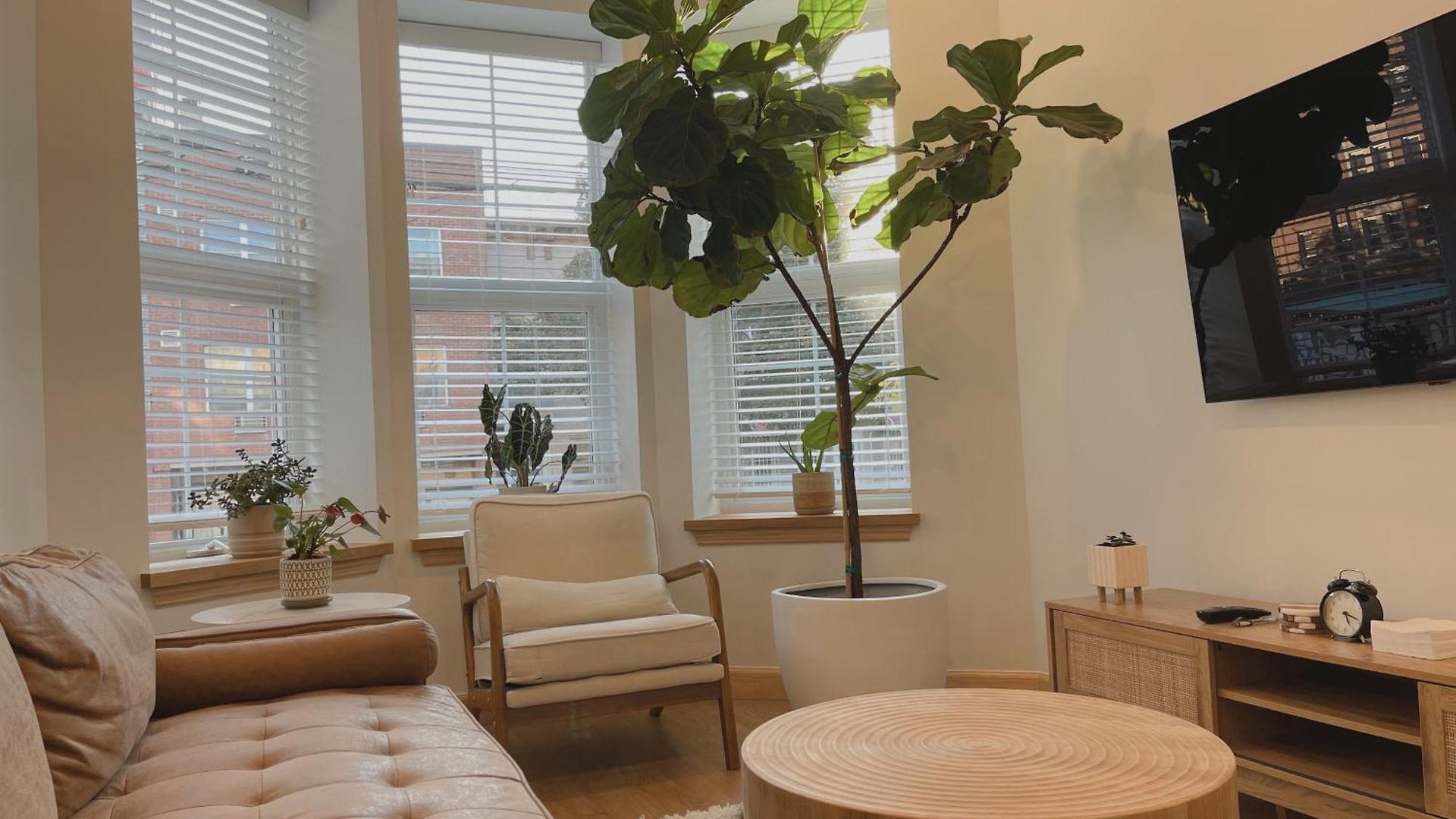 Beautiful Shared With The Host In The Heart Of Bushwick Apartment New York