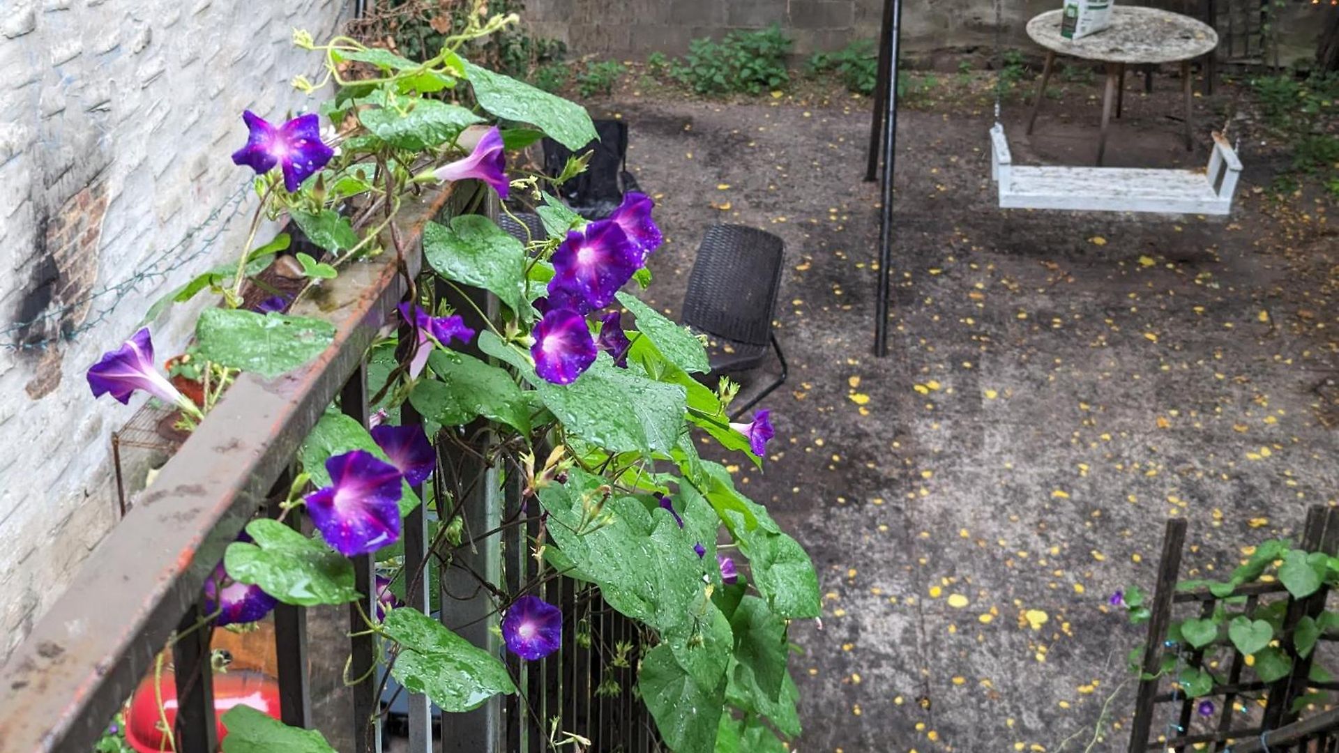 Central & Affordable Williamsburg Private Bedroom Close To Subway Homestay New York