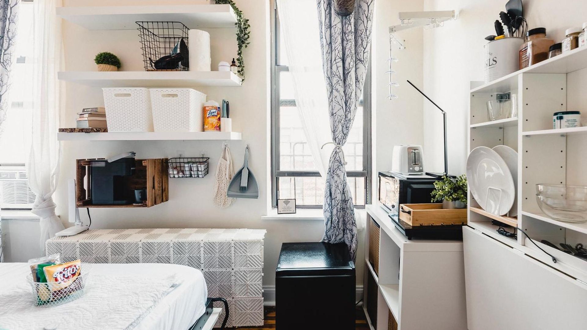 Cat By Delicate Living Conversion Shared Space Only Cat Friendly Only 25 Min To Time Square New York