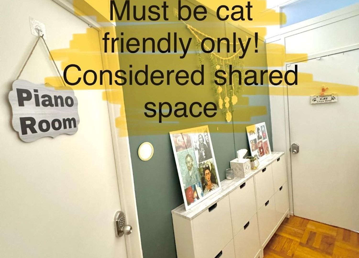 Cat By Delicate Living Conversion Shared Space Only Cat Friendly Only 25 Min To Time Square