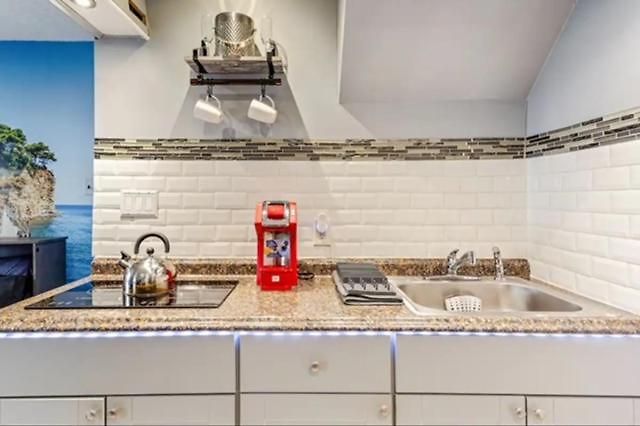 Apartment Private With Separate Entrance & Backyard, Quiet Brooklyn New York