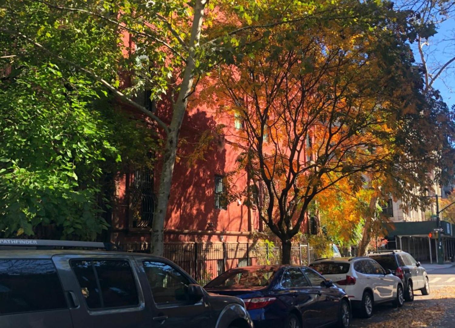 Harlem Grand Bed & Breakfast