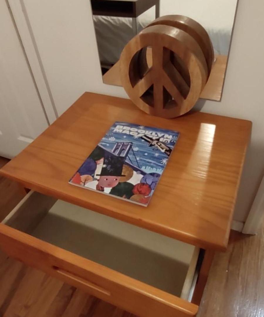Friendly In Williamsburg Brooklyn Homestay New York