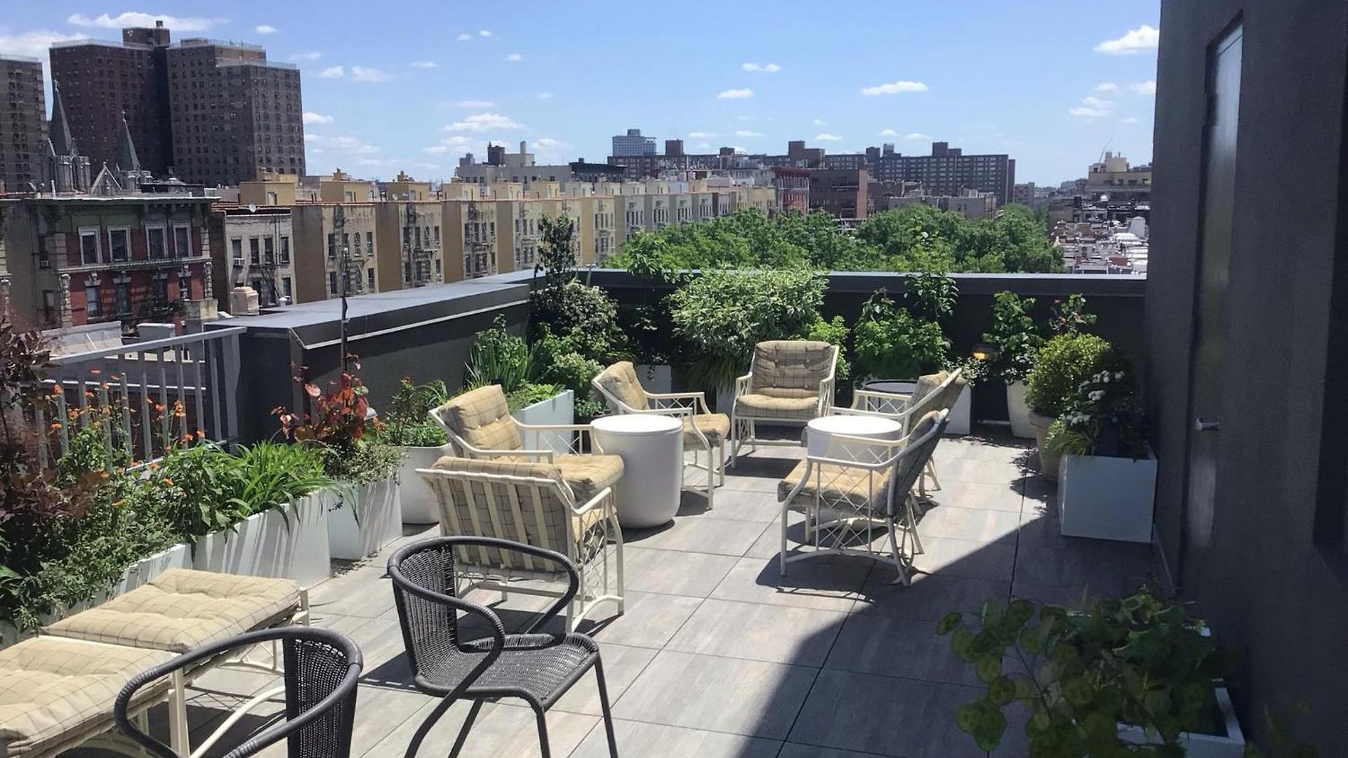 Apartment Large And Luxurious In Strivers Row *