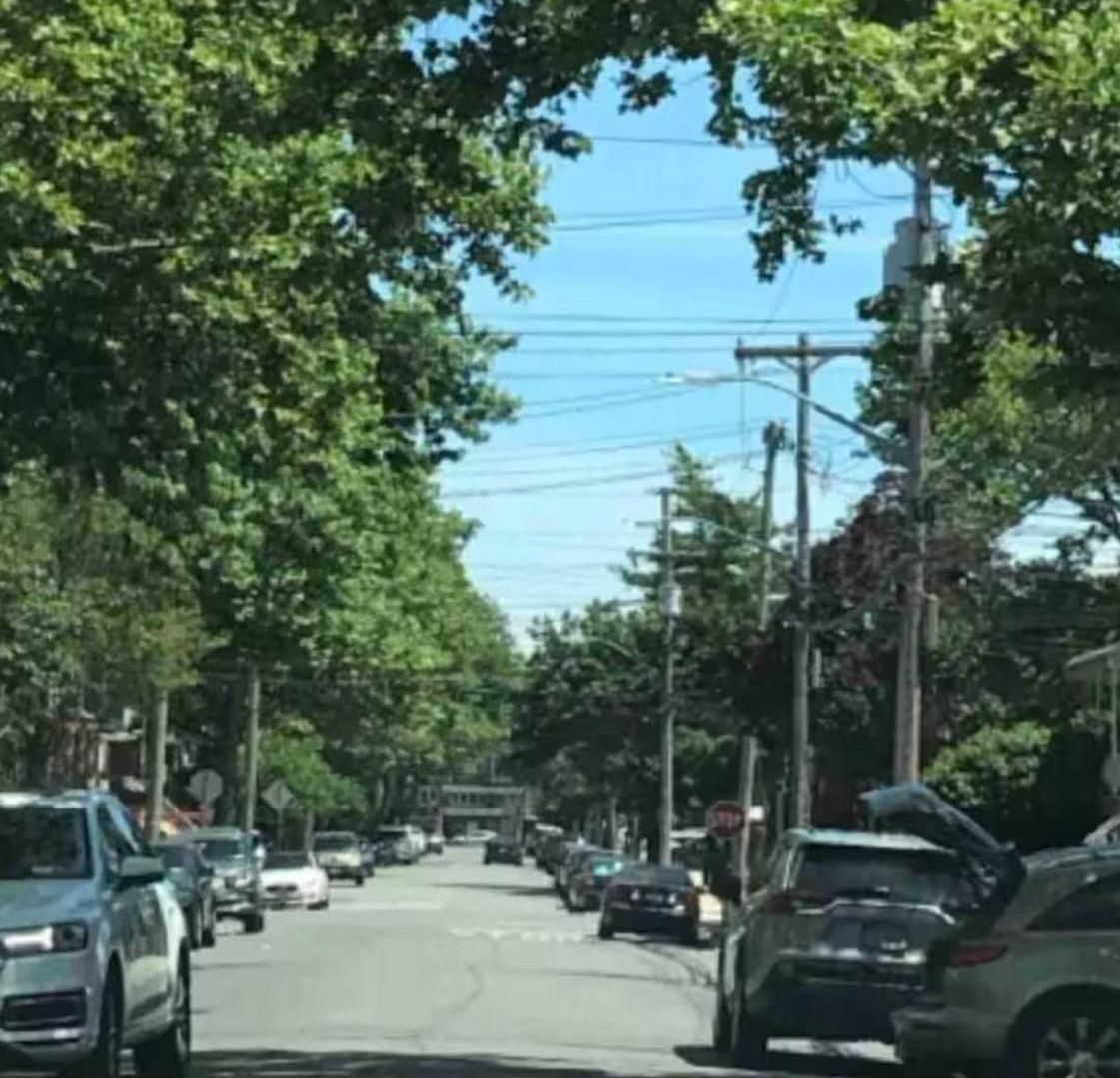 Apartment Private With Separate Entrance & Backyard, Quiet Brooklyn