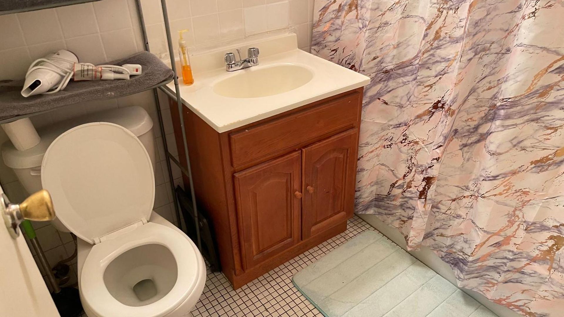 One Bedroom By Month Next To Bronx Zoo