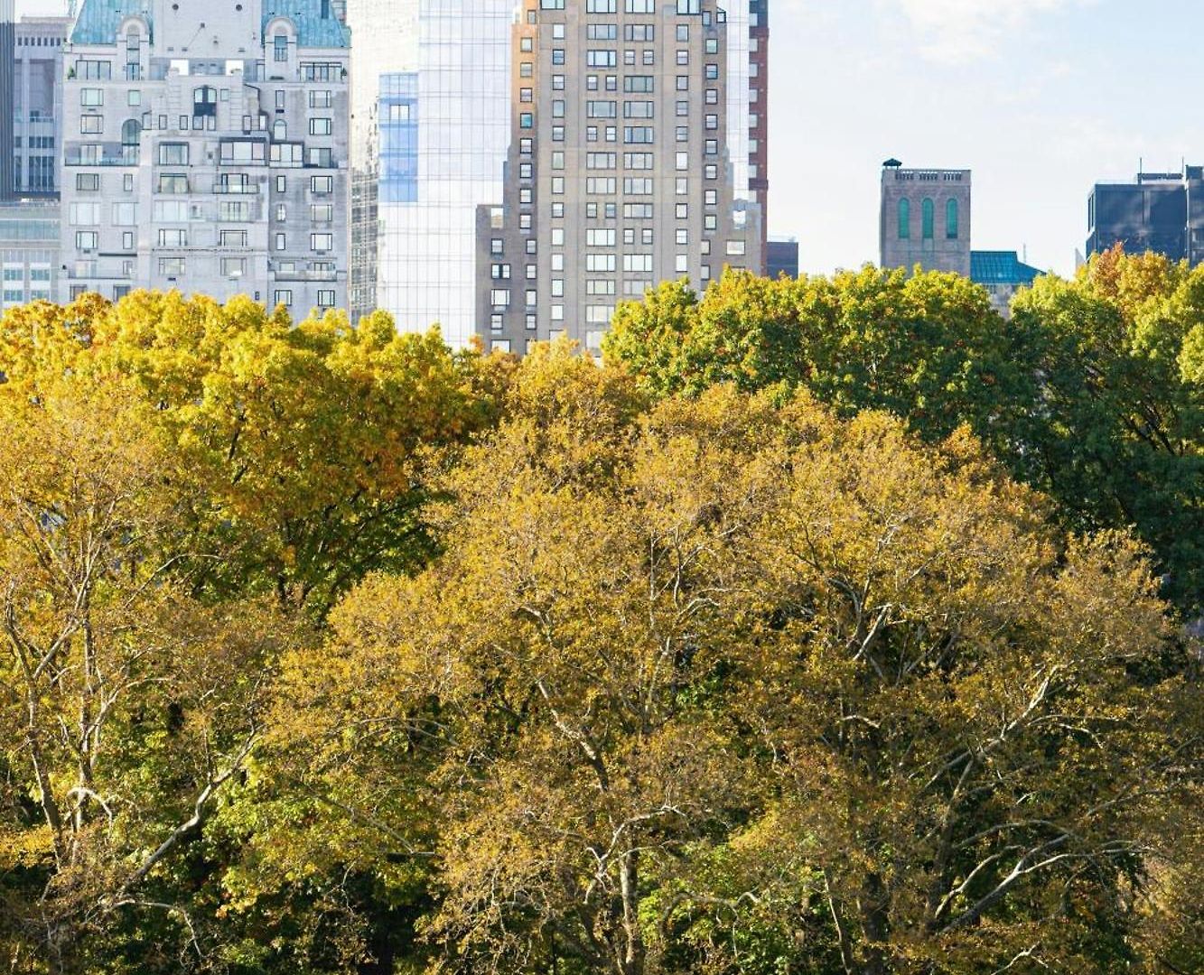 Jw Marriott Essex House 5* New York