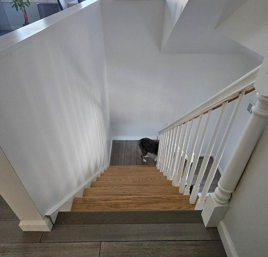 Beautifully Renovated 3-bedroom Guest Villa *
