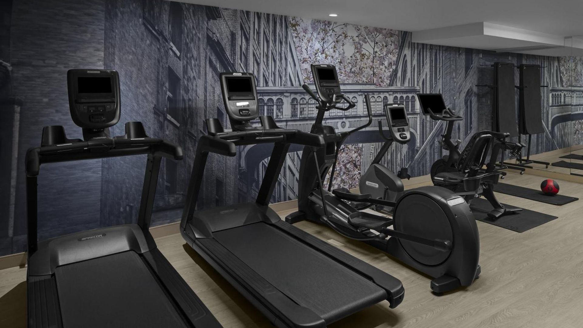 Hotel Cambria - Chelsea