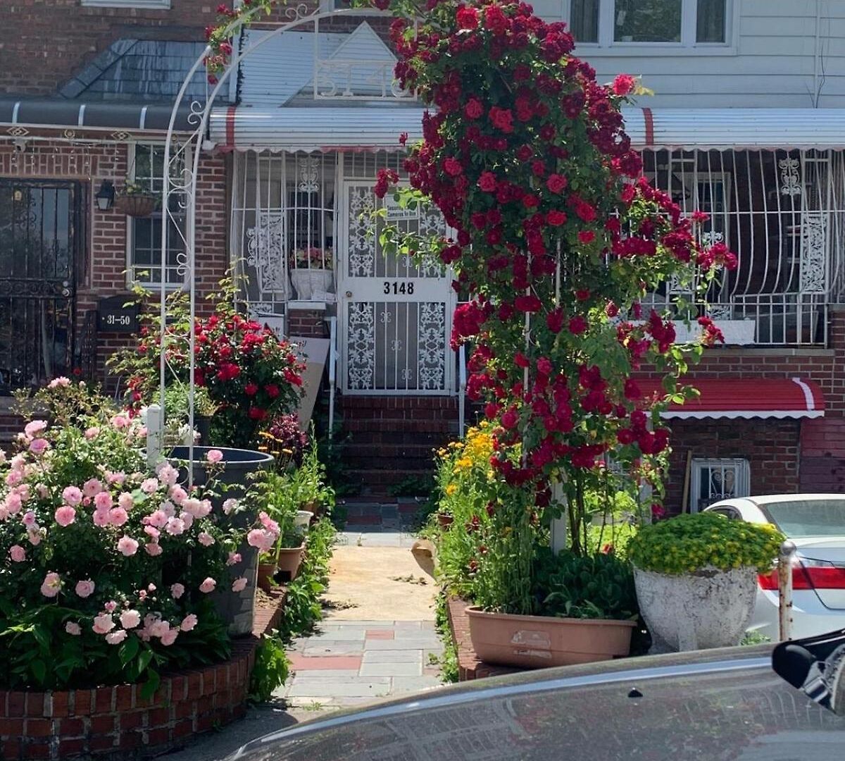 Cheerful 2 Bed In Heart Of Queens New York