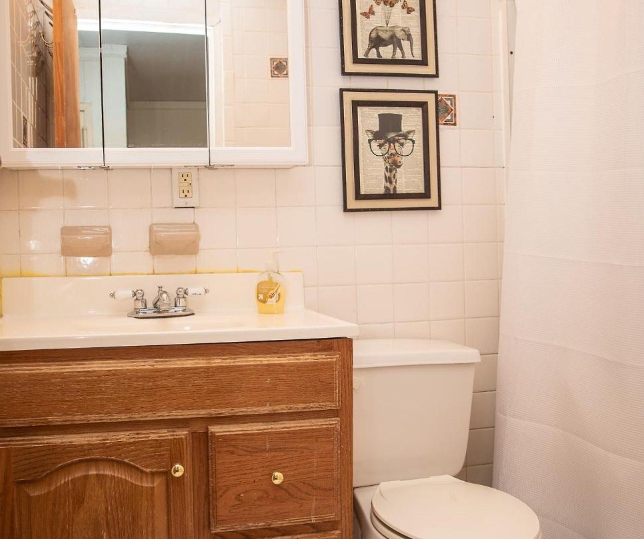 Sunny Fully Furnished In Chelsea *