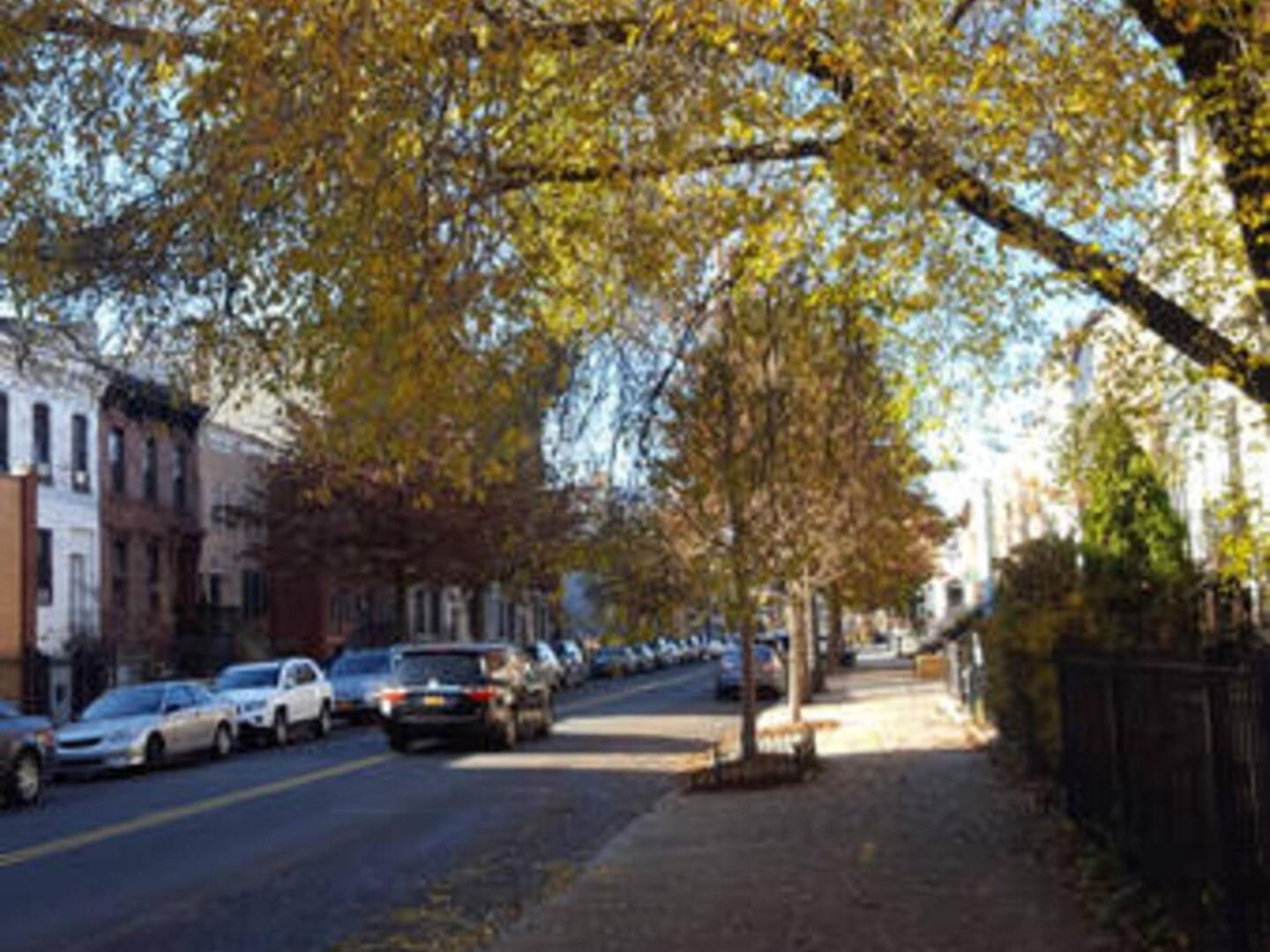 Skylighted Two Br In Multicultural Neighborhood, 25 Minutes To Manhattan *