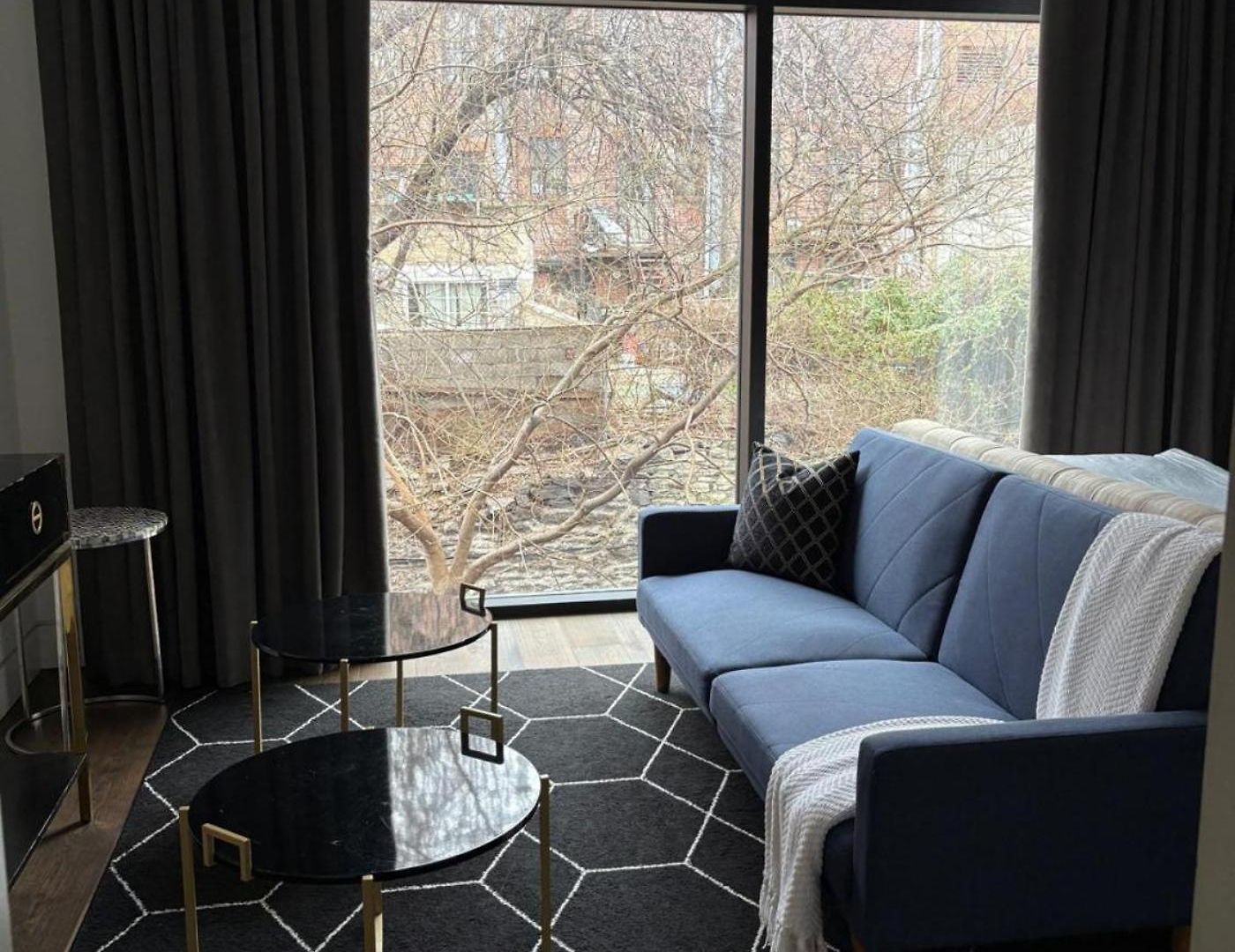 Harlem New Multi-million Dollar Manhattan Brownstone * New York