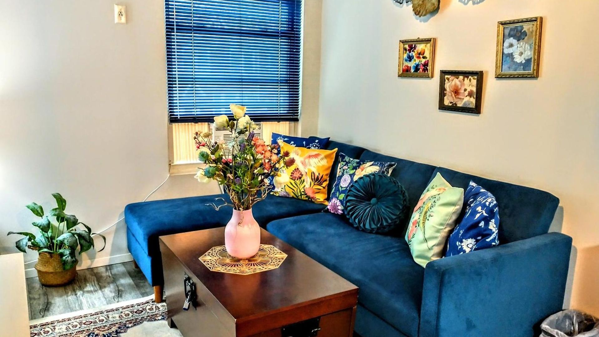 Apartment Explore From Queens *