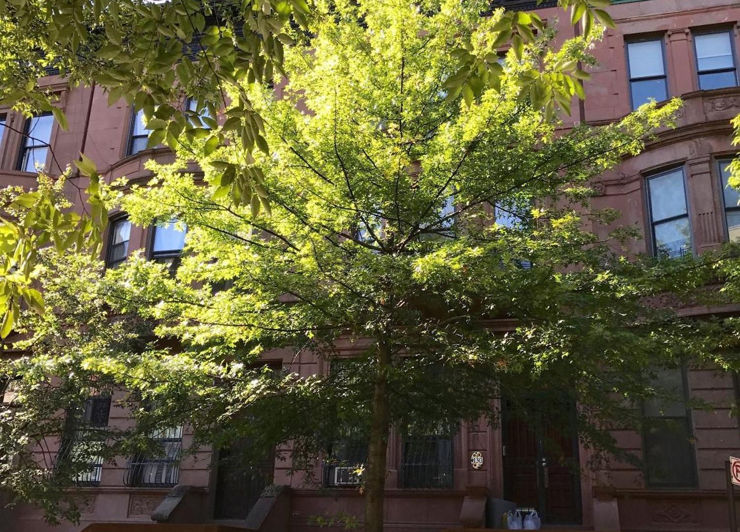 Apartment Private Spacious With 2 Bedrooms 2 Bathroomss And A Deck *