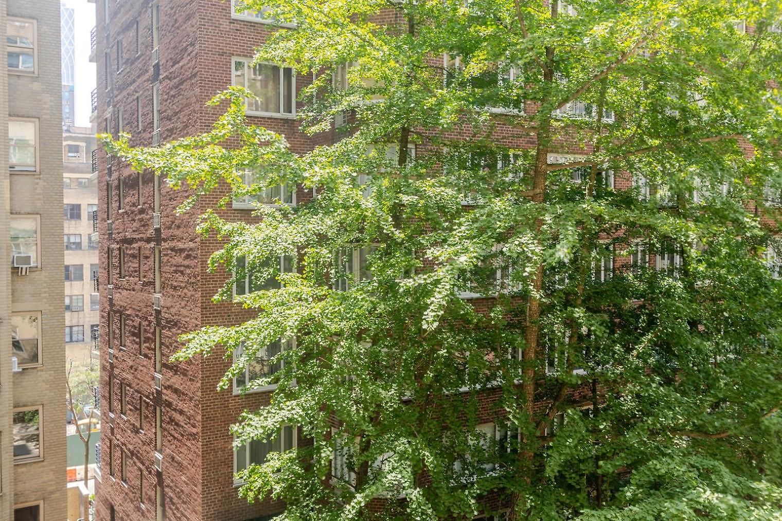 Apartment Blueground Murray Hill Fitness Center Nr Empire State Building Nyc-1879
