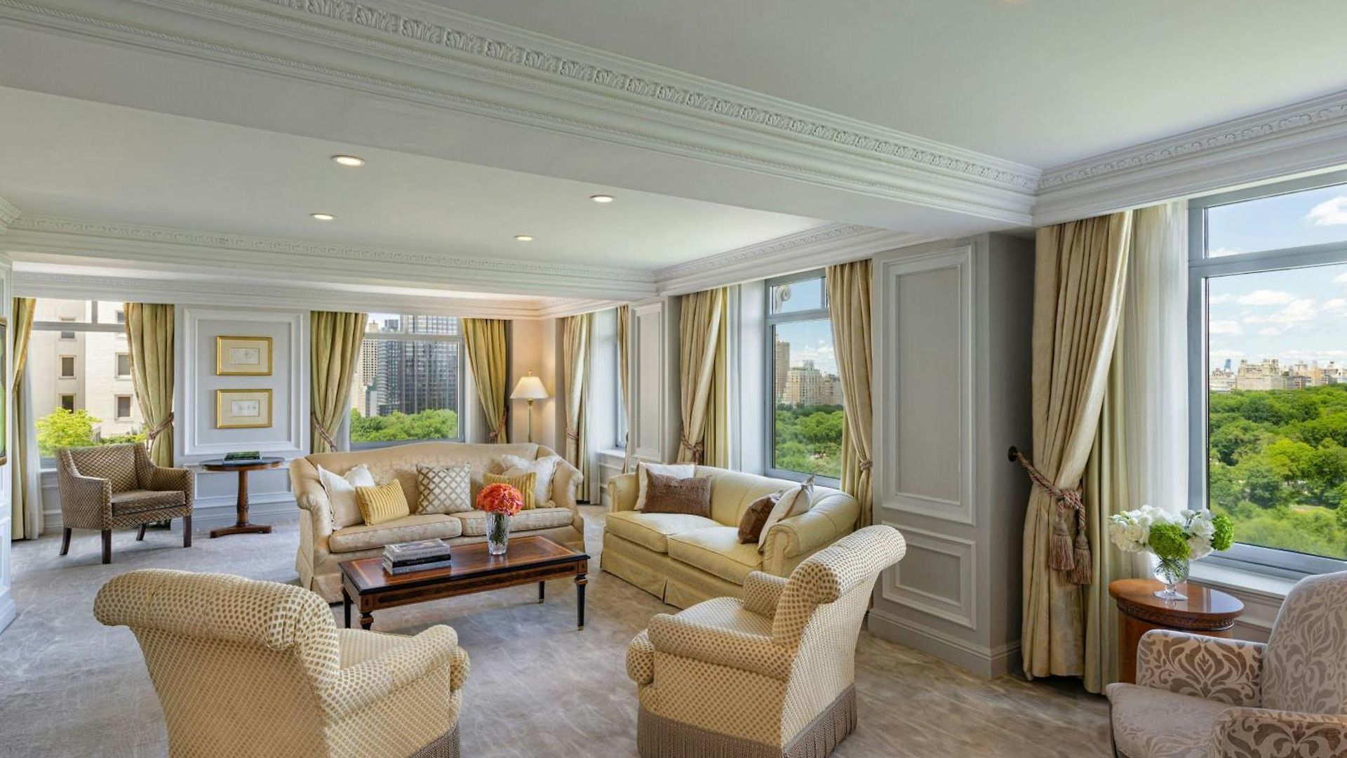 Hotel The Ritz-carlton New York, Park