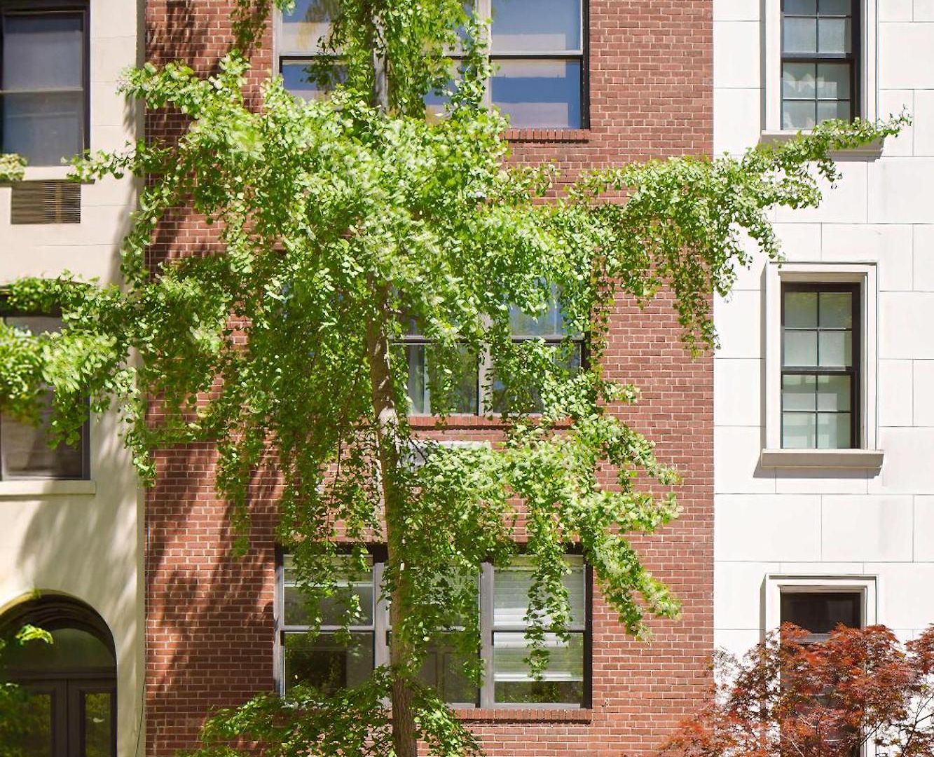 Designer In Diplomat District New York
