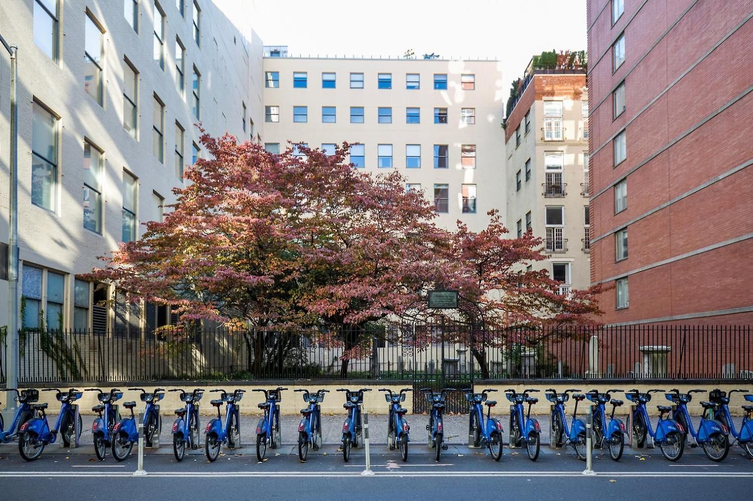 Apartment Blueground Chelsea Rooftop Nr High Line Nyc-1481 *