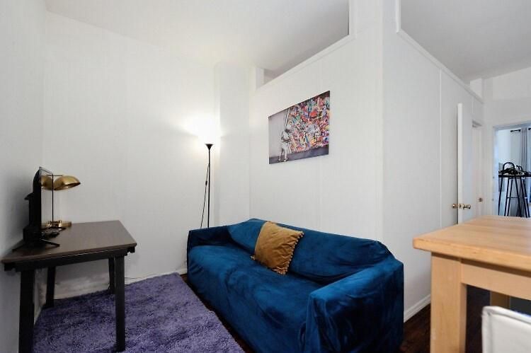 Apartment Furnished In Nyc, June To Aug 90 Days Required